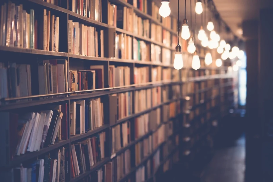 図書館の書架に並ぶ大量の蔵書（RAGによる検索のイメージ）